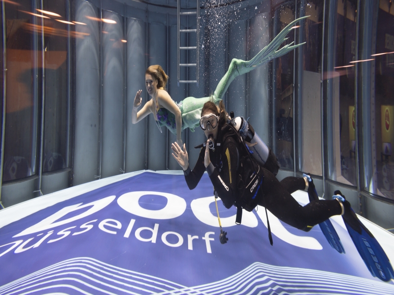 Dive into the Depths of Aquatic Wonder at boot Düsseldorf 2025