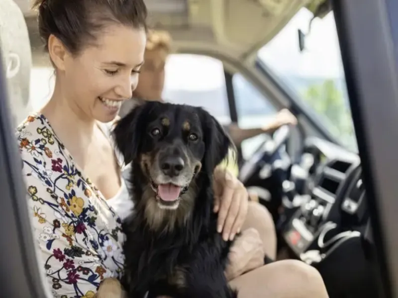 Camping with Your Canine Companion: A Comprehensive Guide for Pet Owners