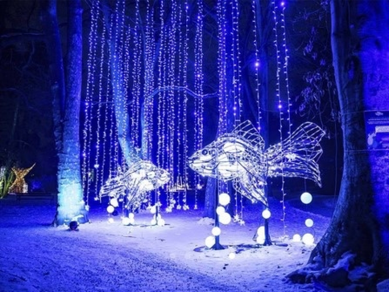 LUMAGICA Meran: A Magical Winter Wonderland at Trauttmansdorff Castle