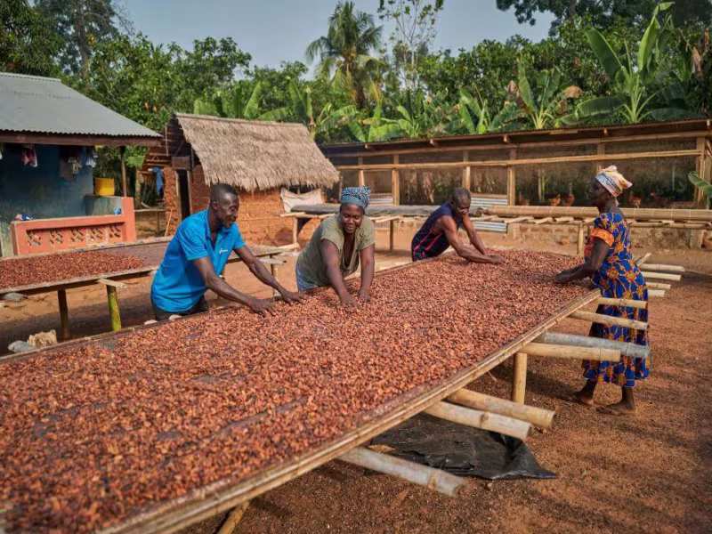 Prospering Farmers - Forever Chocolate_2 (1).jpg