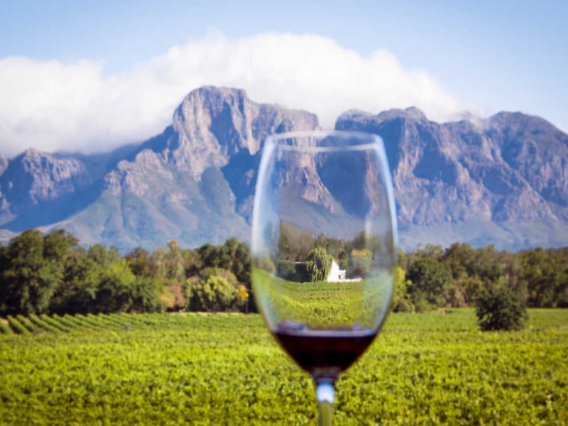PWS Capitalizes on Africa's Burgeoning Wine Market at Tastin' France