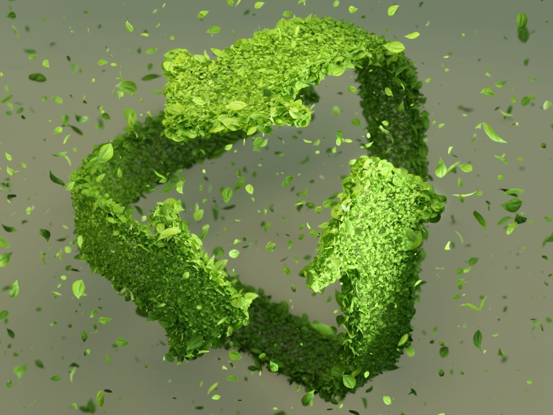 Deutsche Telekom: A Pioneer in Sustainability