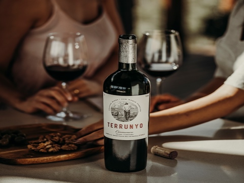 Concha y Toro: A 141-Year Legacy of Crafting World-Renowned Wines