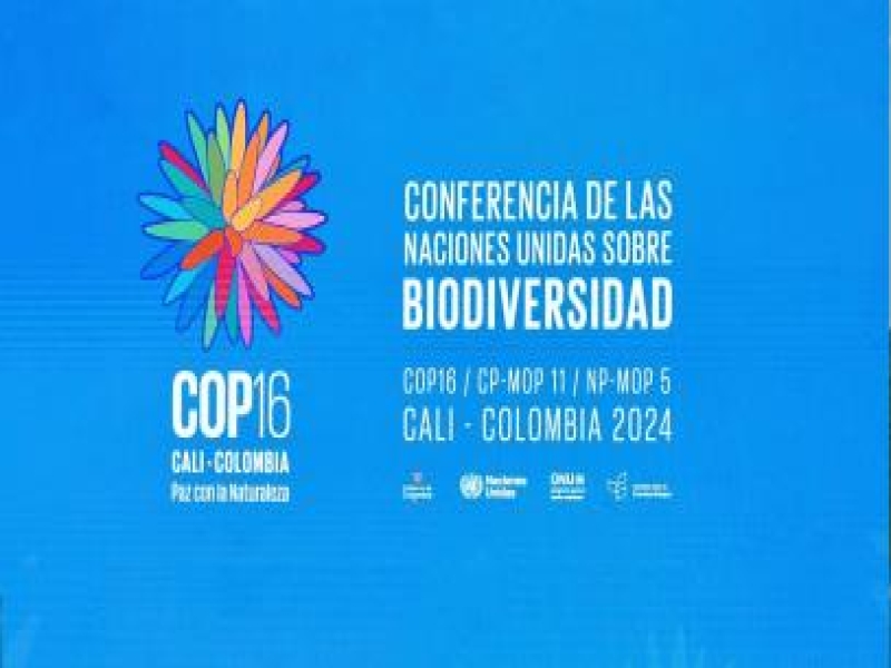 Nature-Positive Tourism Takes Center Stage at COP16 in Colombia
