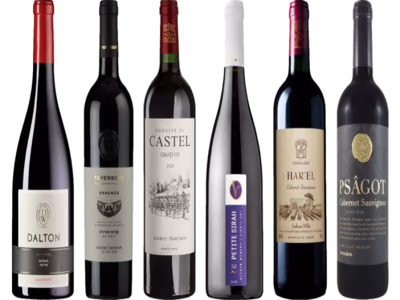 Israeli Wines Make a Splash at ProWein 2024 in Düsseldorf