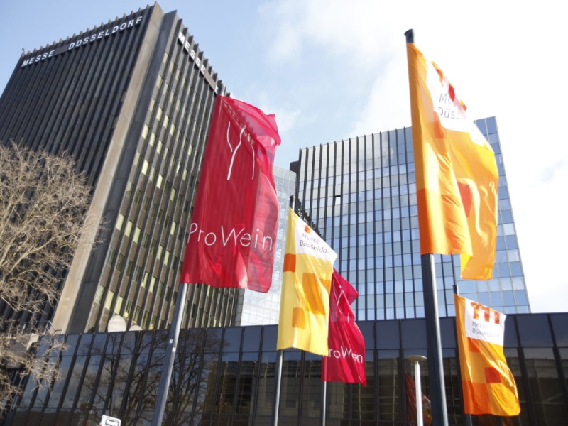 Blurred Lines: how co-ferments, hard seltzer and zero-alc options are transforming the beverage industry 