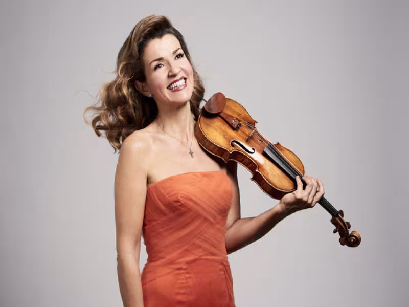 Audi Summer Concerts 2025: A Symphony of Stars and Innovation