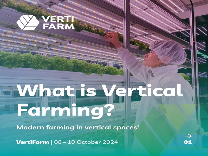 VertiFarm 2024 Showcases Innovative Solutions for a Sustainable Global Food System