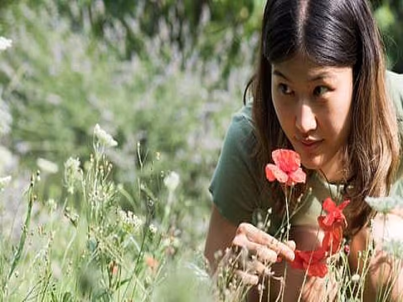 Weleda’s Commitment to Sustainability: Ethical Ratanhia Sourcing from the Peruvian Andes