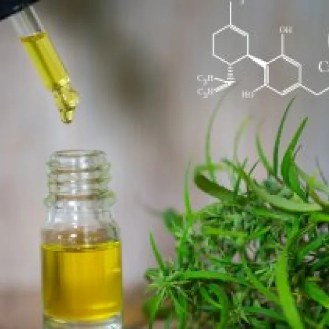 Fitter with CBD? Nutrition trend featured with dedicated area at FIBO