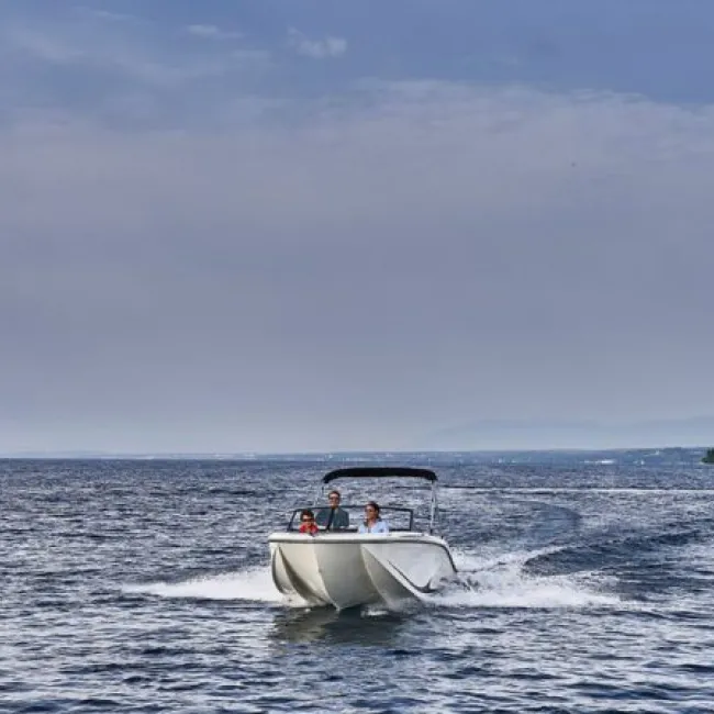 Bayliner M19