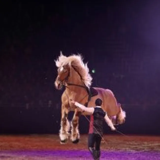 The highlights of Equitana 2023
