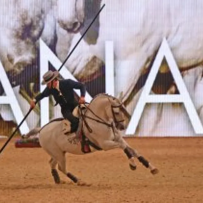 EQUITANA 2023: Future perspectives and sustainability