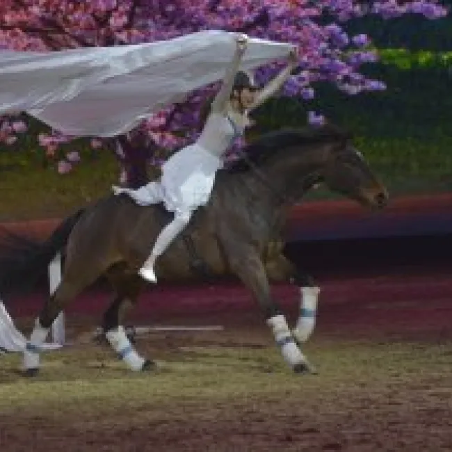 Equitana 2023: Innovation and Stars
