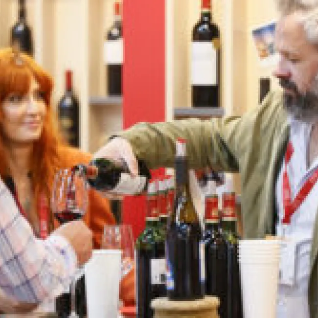 Chilean Wines Shine at ProWein 2024: A Guide to Discovering South American Excellence