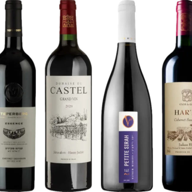 Israeli Wines Make a Splash at ProWein 2024 in Düsseldorf