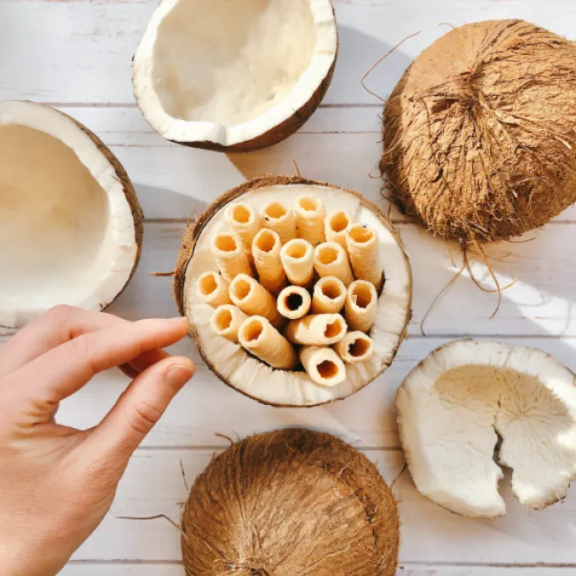 C.A.L. Marketing Revolutionizes Snacking Landscape with Global Expansion