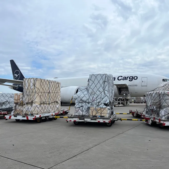 FIEGE Air Cargo Logistics Takes Off with AI-Powered Efficiency