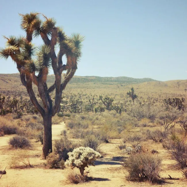 The 10 Worst Tourists of 2024