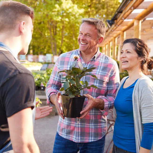 Navigating the Shift: Understanding and Utilizing Peat-Free Potting Soil for Optimal Gardening