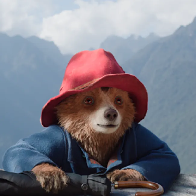 Paddington's Peruvian Adventure: A Guide to the Filming Locations of 'Paddington in Peru'