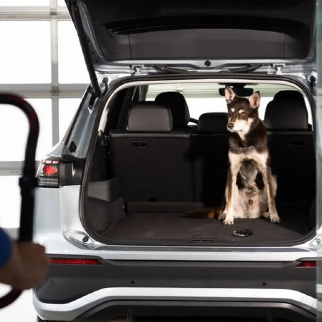 Market Launch of the New Tayron: More Space for Everyone and Everything