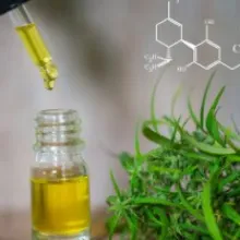 Fitter with CBD? Nutrition trend featured with dedicated area at FIBO