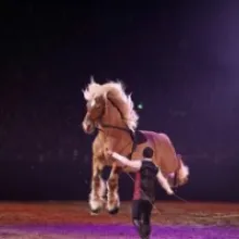 The highlights of Equitana 2023