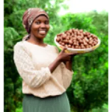 LIMBUA MACADAMIA NUTS: HARD OUTSIDE - FAIR INSIDE