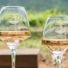 Vins de Provence 