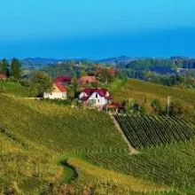 Austrian Wine Shines at ProWein 2024