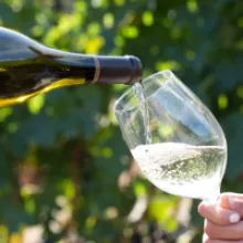 The Wine Group and Southern Glazer's Wine & Spirits Announce Strategic Expansion, Bringing Award-Winning Wines to Six New States