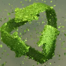 Deutsche Telekom: A Pioneer in Sustainability