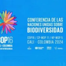 Nature-Positive Tourism Takes Center Stage at COP16 in Colombia