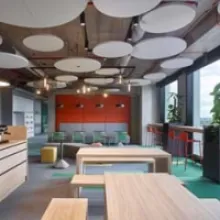 Ecophon Acoustic Ceiling Panels Enhance Room Acoustics