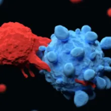 Roche Showcases Promising Lymphoma Advancements at ASH 2024