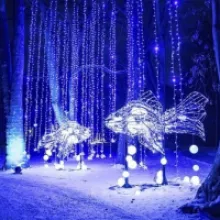 LUMAGICA Meran: A Magical Winter Wonderland at Trauttmansdorff Castle