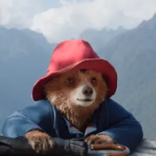 Paddington's Peruvian Adventure: A Guide to the Filming Locations of 'Paddington in Peru'