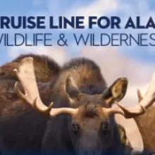 Attractive Benefits for Cruise Enthusiasts: Holland America Line's "HAVE IT ALL" Offer and Additional Perks with "Have It All+