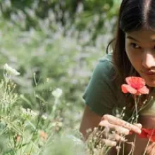 Weleda’s Commitment to Sustainability: Ethical Ratanhia Sourcing from the Peruvian Andes
