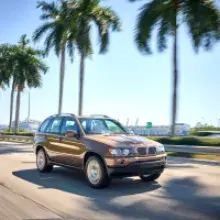 How the X5 