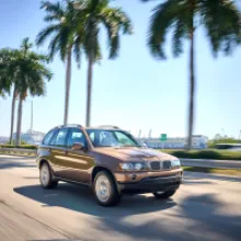 How the X5 