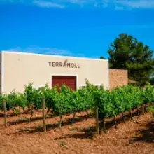 Flavors of Formentera: A New Digital Map for Culinary Discovery